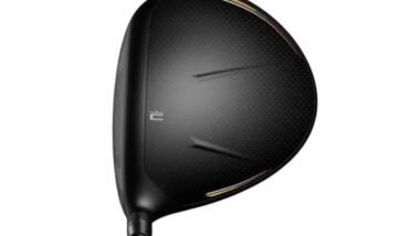 Cobra LTDx Max Black